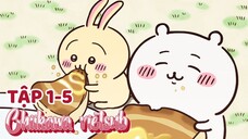 Chiikawa vietsub tập 1-5