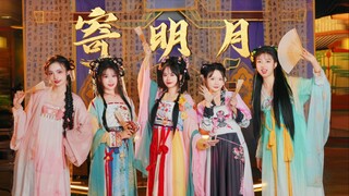 太好了！是妙妙！而且有五个！《寄明月》【喵喵喵喵喵】