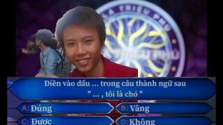 đạt vila nhưng lại tham gia ai ko là triệu phú