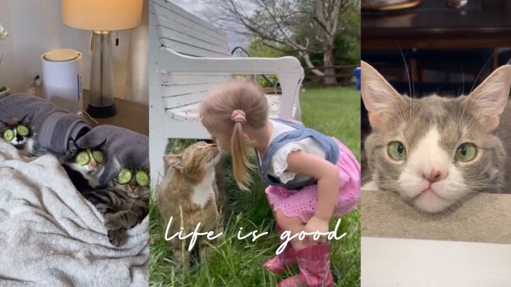 When you’re feeling down, come check out these little ones ❤️