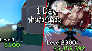 King Legacy 1 Day ฟามด้วยผลสั่นสะเทือน จะยากลำบากขนานไหนไปดูกัน!! Level 1 to 2300 NOOB TO PRO