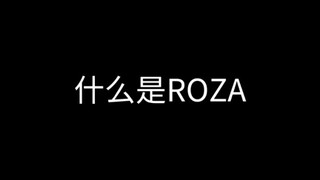 【ROZA】点击即看小学生组合名场面