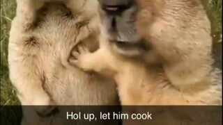 My friends be like...😭