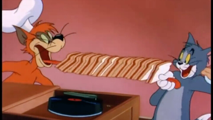 Tom and a gang of cat brothers are going wild at home!