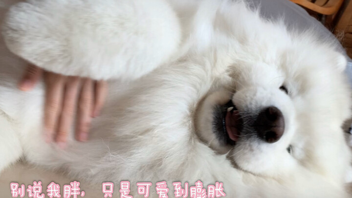 【Nhật ký Tây Trư】6 giờ sáng nhất định đòi gọi mẹ dậy, đánh răng xong quay ra nhìn lại thì bản thân v