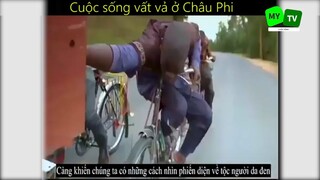 Cuộc sống mưu sinh vất vả ở Châu Phi_phần 10