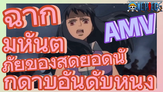 [วันพีซ] AMV | ฉากมหันตภัยของสุดยอดนักดาบอันดับหนึ่ง