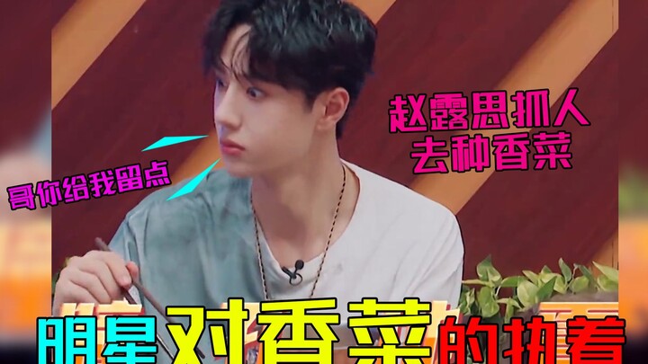 Mọi người đúng là có tình cảm đặc biệt với rau mùi quá! Triệu Lộ Tư lôi kéo mọi người đi trồng rau m