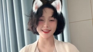 Kumpulan Efek Kucing Kecil 1