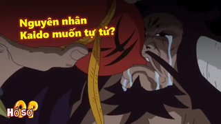 Đây mới là nguyên nhân Kaido muốn tự tử? #onepiece