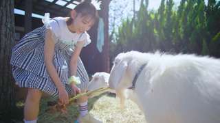 【Phiên bản đầy đủ/Nhạc chủ đề/MV chính thức】MV nhạc chủ đề "Thanh Lam và Thước" của phim "Người Mẫu 