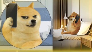 Anh rể cũ muốn đến nhà tôi chơi máy tính?