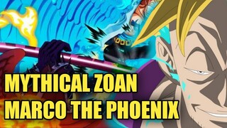 MENGEJUTKAN !!! MARCO THE PHOENIX TIDAK DAPAT DI KALAHKAN - ONE PIECE 1054 ++ (TEORI OP)