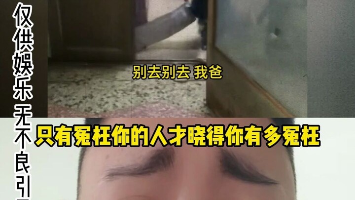 We all told you not to go, but you insisted on going.