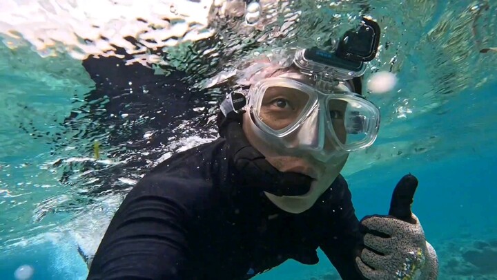 OK Brother Investigates the Dugong