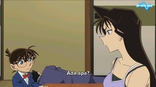 Detective Conan 1233