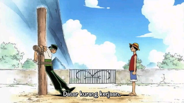 momen Zoro join straw hat pirates, jadi Navigator?