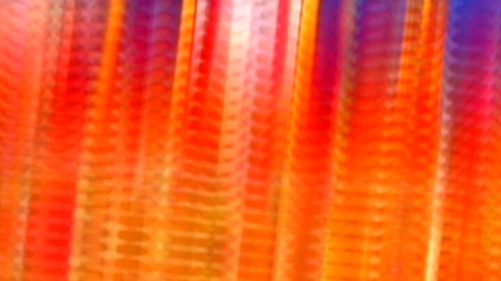 Akashic Records of Bastard Magic