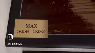 Nấc thang này mãi mãi là của bạn