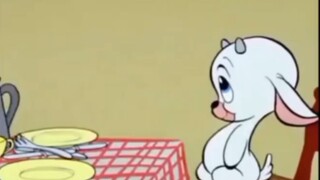 Anak Anjing Pemakan Segala Makanan