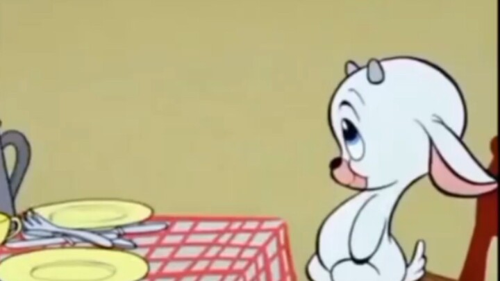 Anak Anjing Pemakan Segala Makanan