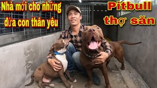 @ Săn Bắt Ẩm Thực Vùng Cao Hoàn Thiện Nhà Ở Cho Những Chiến Binh Thép Tập Đoàn Sát Thủ