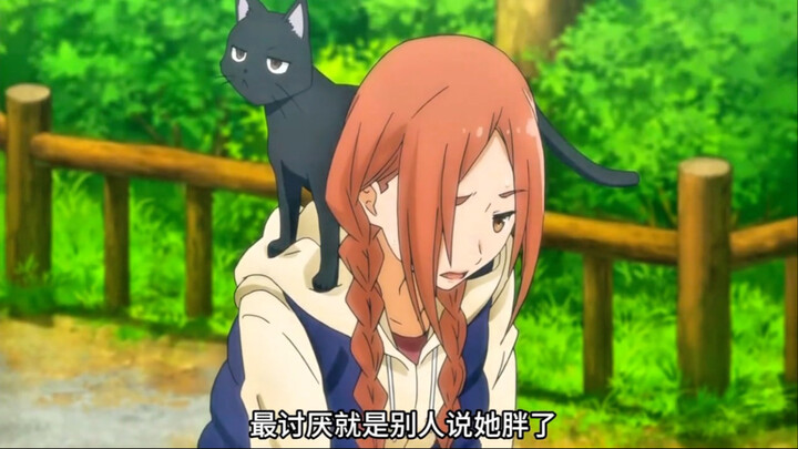 可千万别说小猫胖！