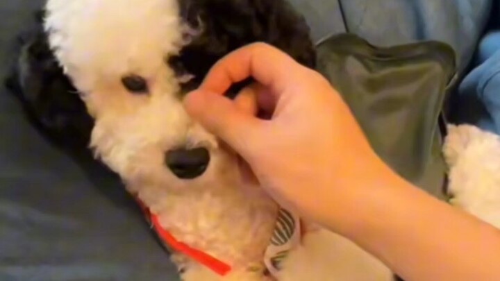 ใจแตกจริงๆ