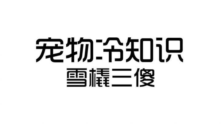 Siapa yang paling bodoh di antara Tiga Bocah Lintas Salju?