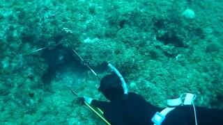 spear fishing