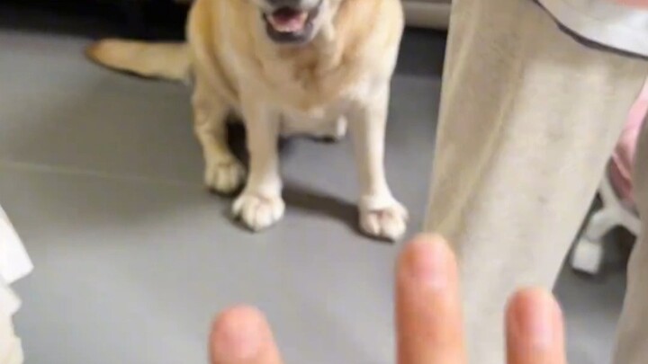 Am I the outsider now?