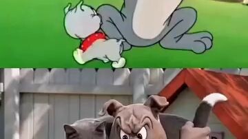 Tom and Jerry  really entertainment video#viral#video#funny