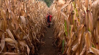 Ni Dormirás Está Noche