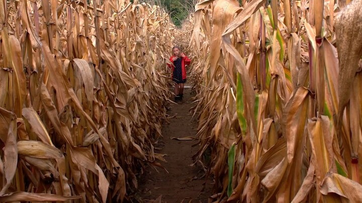 Ni Dormirás Está Noche