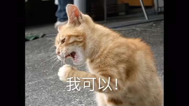 How could this world possibly be without cute little Mimi?