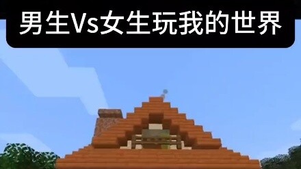 Minecraft: Sự khác biệt giữa nam và nữ chơi Minecraft lớn đến mức nào?