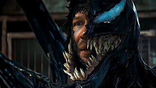 venom the last dance