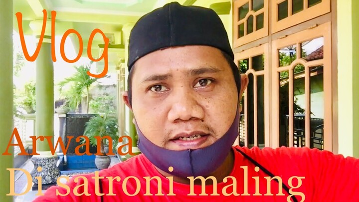 Arwana Di Satroni maling || kediaman feriza TV || lokasi shoting kampung janda