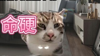ฉันมีวัยเด็กที่ยากลำบาก