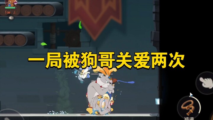 Tom and Jerry Mobile: Twice “cared for” by Dog Brother in a single match—can I still turn the tables