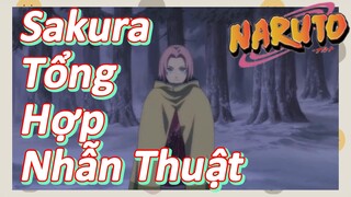 Sakura Tổng Hợp Nhẫn Thuật