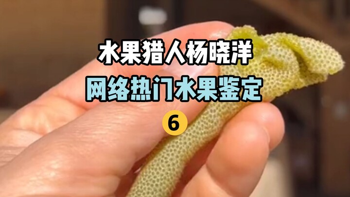 【水果猎人】网络热门水果鉴定6