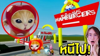 Apple Cat เจ้าแมวแอปเปิ้ล vs บ้านของบันนี่ | Mind&Nat