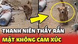 Thanh niên chó TỈNH NHẤT Việt Nam: Gặp RẮN vẫn KHÔNG CẢM XÚC 😂 | Yêu Lu
