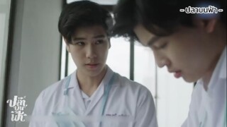 เดี๋ยวทำเองก็ได้นะ.. | ปลาบนฟ้า