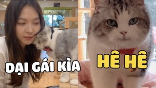 Hoàng thượng CHÂN THỐI ham ăn còn mê gái nữa nha | Pets TV