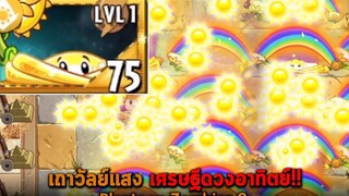 เถาวัลย์แสง เศรษฐีดวงอาทิตย์ Plants vs Zombies 2