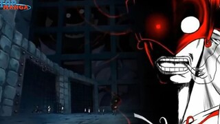 [One Piece 1018+]. Ai mới là Thần Mặt Trời Nika p12