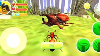 Semut Semut Kecil Berhasil Mengalahkan Laba Laba Hitam Raksasa - Ant Hill Survival Simulator