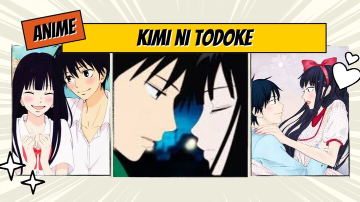 Kisah cinta dari anime KIMI NI TODOKE